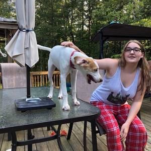 Meet your Posher, Ashley